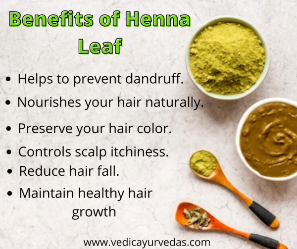 Henna Leaf Powder For Hair - Buy Now - Vedicayurvedas 100% Organic