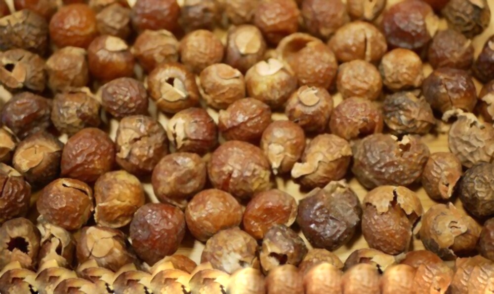 reetha seeds