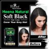 Heena Natural Soft Black Hair Color (Before/After) Image