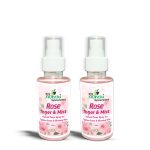 Rose Toner & Mist Combo