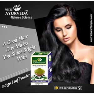 Indigo Leaf Powder