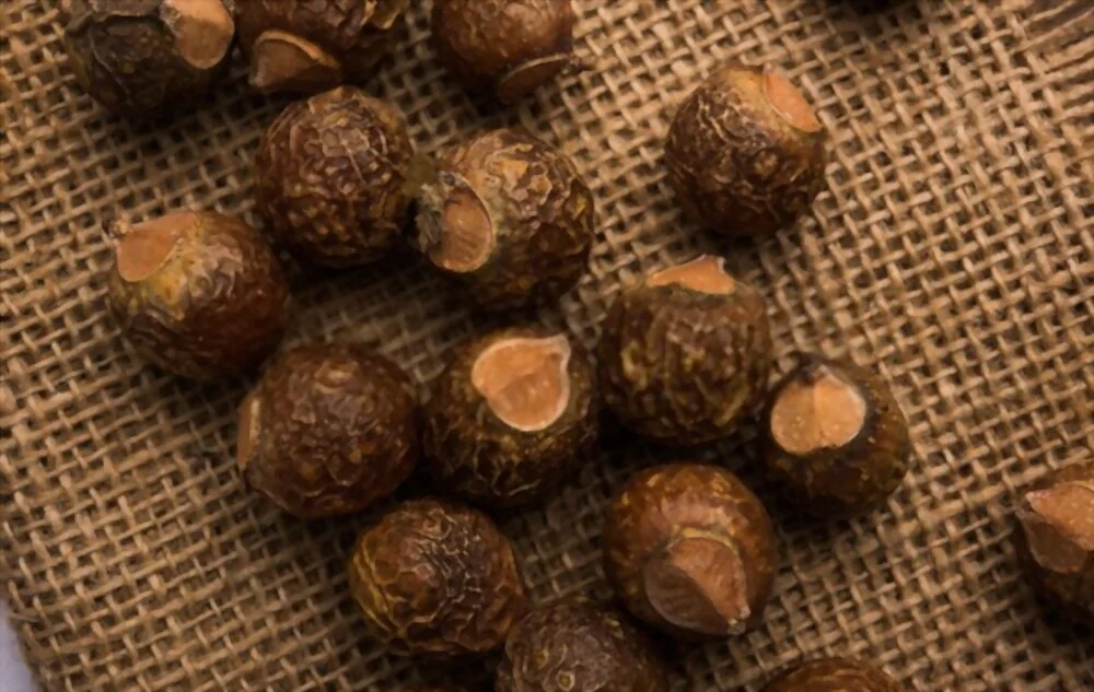 Reetha powder for Hair 2 reetha seeds